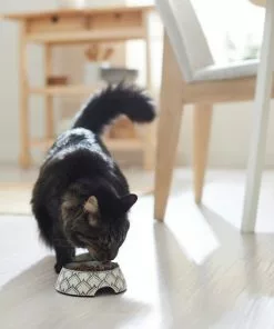 Frisco Moroccan Design Stainless Steel Dog & Cat Bowl -The Frisco Store 311963 PT3. SY630 V1642542386