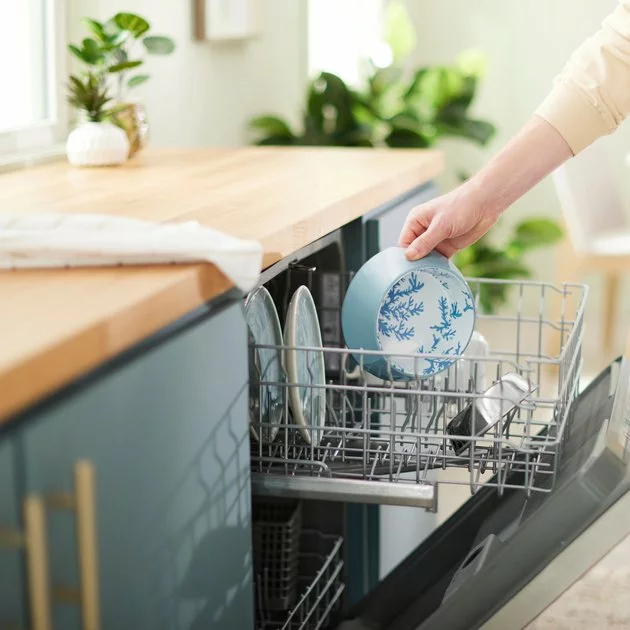 Frisco Coral Design Stainless Steel Dog & Cat Bowl, Teal 10 Frisco Coral Design Stainless Steel Dog & Cat Bowl, Teal - Image 8