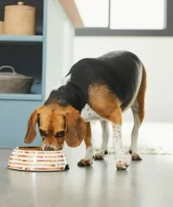 Frisco Copper Print Design Stainless Steel Dog & Cat Bowl -The Frisco Store 311975 PT2. SY630 V1642542895