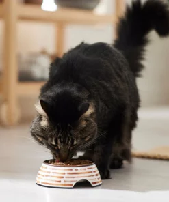 Frisco Copper Print Design Stainless Steel Dog & Cat Bowl -The Frisco Store 311975 PT3. SY630 V1642542357