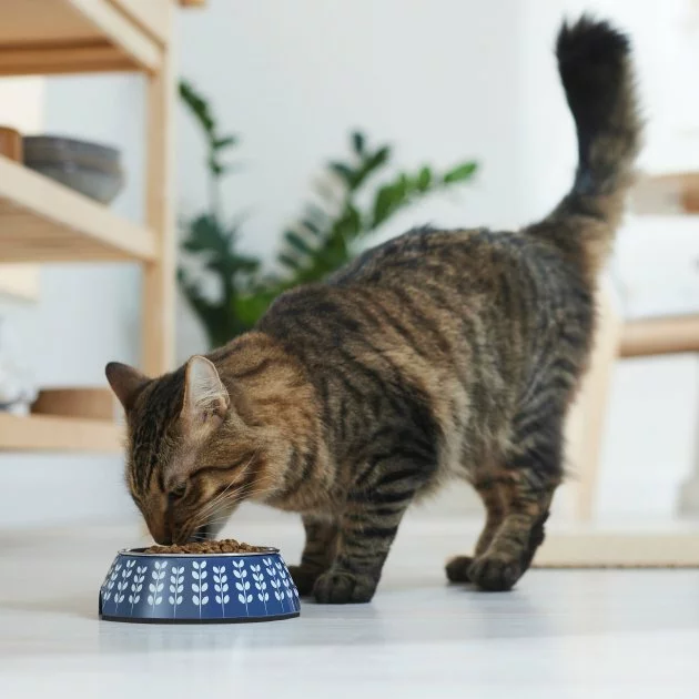 Frisco Leaf Design Stainless Steel Dog & Cat Bowl, Blue 6 Frisco Leaf Design Stainless Steel Dog & Cat Bowl, Blue - Image 4