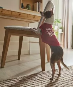 Frisco Mama's Bestie Dog & Cat T-Shirt -The Frisco Store 312056 PT8. SY630 V1644425515