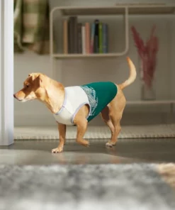 Frisco Tropical Palm Dog & Cat T-Shirt 13 Frisco Tropical Palm Dog & Cat T-Shirt -The Frisco Store 312072 PT8. SY630 V1644425897