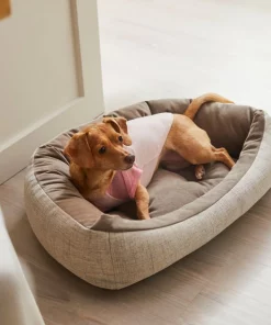 Frisco Mama's Girl Dog & Cat T-Shirt -The Frisco Store 312096 PT8. SY630 V1644427093