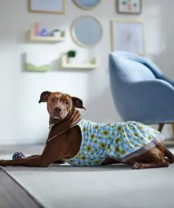 Frisco Sunflower Gingham Dog & Cat Dress -The Frisco Store 312120 PT8. SY630 V1644426245