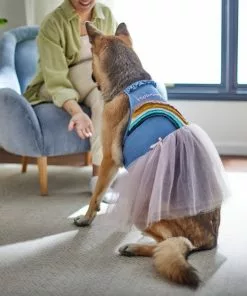 Frisco Rainbow Denim Dog & Cat Dress 13 Frisco Rainbow Denim Dog & Cat Dress -The Frisco Store 312144 PT8. SY630 V1644527534