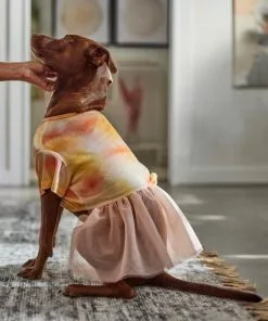 Frisco Tie Dye Pink Tutu Dog & Cat Dress -The Frisco Store 312152 PT8. SY630 V1644528801