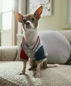 Frisco Nautical Polo Dog & Cat Shirt -The Frisco Store 312160 PT8. SY630 V1644526421