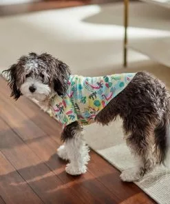 Frisco Flamingo Camp Dog & Cat Shirt 17 Frisco Flamingo Camp Dog & Cat Shirt -The Frisco Store 312176 PT8. SY630 V1644527708