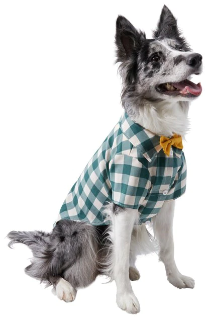 Frisco Boho Plaid Dog & Cat Shirt 3 Frisco Boho Plaid Dog & Cat Shirt