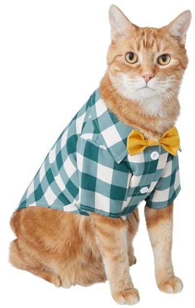 Frisco Boho Plaid Dog & Cat Shirt 5 Frisco Boho Plaid Dog & Cat Shirt - Image 3