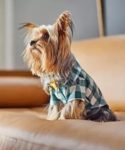 Frisco Boho Plaid Dog & Cat Shirt 17 Frisco Boho Plaid Dog & Cat Shirt -The Frisco Store 312184 PT8. SY630 V1644524330