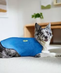 Frisco Chambray Pineapple Dog & Cat Shirt 19 Frisco Chambray Pineapple Dog & Cat Shirt -The Frisco Store 312192 PT8. SY630 V1644526681