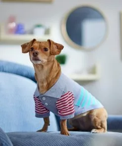 Frisco Striped Polo Dog & Cat Shirt -The Frisco Store 312208 PT8. SY630 V1644882482