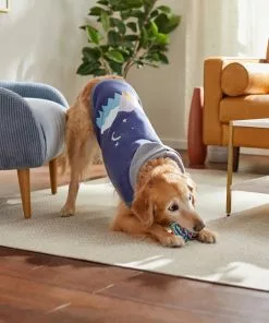Frisco Starry Night Dog & Cat Hoodie -The Frisco Store 312216 PT8. SY630 V1644882274