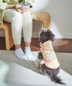 Frisco Good Vibes Dog & Cat Hoodie -The Frisco Store 312224 PT8. SY630 V1644880111