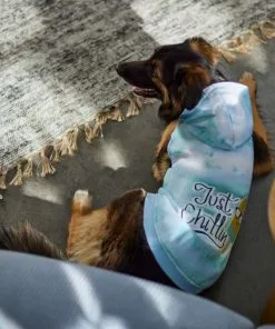 Frisco Just Chillin Dog & Cat Hoodie -The Frisco Store 312232 PT8. SY630 V1644881824