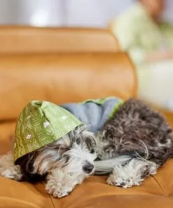 Frisco Green Southwest Dog & Cat Hoodie -The Frisco Store 312248 PT8. SY630 V1644883113