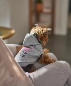Frisco Nap Queen Dog & Cat Hoodie -The Frisco Store 312256 PT8. SY630 V1644879419