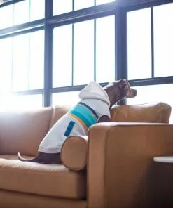 Frisco Striped Grey Dog & Cat Hoodie -The Frisco Store 312264 PT8. SY630 V1644880135