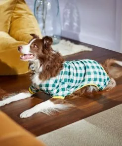Frisco Boho Gingham Dog & Cat PJs -The Frisco Store 312272 PT8. SY630 V1644880063