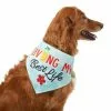Frisco Living My Best Life Dog & Cat Bandana -The Frisco Store 312288 MAIN. SY630 V1644881351