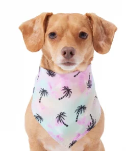 Frisco Palm Tree Dog & Cat Bandana