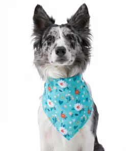 Frisco Spring Floral Dog & Cat Bandana