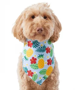 Frisco Hawaiian Pineapple Dog & Cat Bandana