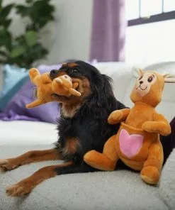 Frisco Kangaroo & Joey Plush Squeaky Dog Toy, 2 count -The Frisco Store 312899 PT3. SY630 V1638987688