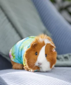 Frisco Pineapple Hawaiian Camp Guinea Pig Shirt 11 Frisco Pineapple Hawaiian Camp Guinea Pig Shirt -The Frisco Store 313122 PT8. SY630 V1644524562