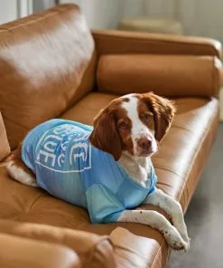 Frisco Peace Love Rescue Dog & Cat T-Shirt 13 Frisco Peace Love Rescue Dog & Cat T-Shirt -The Frisco Store 315067 PT8. SY630 V1646349423