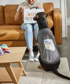 Frisco Birthday Pup Dog & Cat T-Shirt 13 Frisco Birthday Pup Dog & Cat T-Shirt -The Frisco Store 315075 PT8. SY630 V1646442759