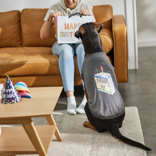 Frisco Birthday Pup Dog & Cat T-Shirt 8 Frisco Birthday Pup Dog & Cat T-Shirt - Image 6