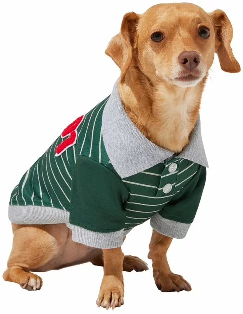 Frisco Green Rugby Dog & Cat Polo Shirt 3 Frisco Green Rugby Dog & Cat Polo Shirt