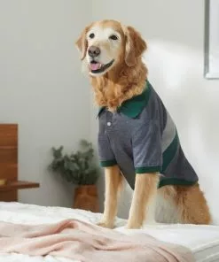 Frisco Green Striped Polo Dog & Cat Shirt -The Frisco Store 315091 PT8. SY630 V1646434389