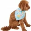 Frisco Birthday Pup Dog & Cat Bandana -The Frisco Store 315130 MAIN. SY630 V1646437330