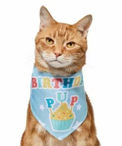 Frisco Birthday Pup Dog & Cat Bandana -The Frisco Store 315130 PT2. SY630 V1646437964