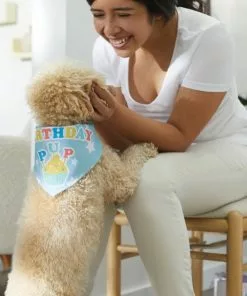 Frisco Birthday Pup Dog & Cat Bandana -The Frisco Store 315130 PT8. SY630 V1646434068