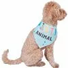 Frisco Party Animal Dog & Cat Bandana -The Frisco Store 315136 MAIN. SY630 V1646438241