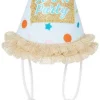 Frisco It's a Party Animal Dog & Cat Hat -The Frisco Store 315139 MAIN. SY630 V1646437017