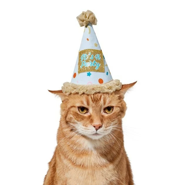 Frisco It's a Party Animal Dog & Cat Hat 6 Frisco It's a Party Animal Dog & Cat Hat - Image 4