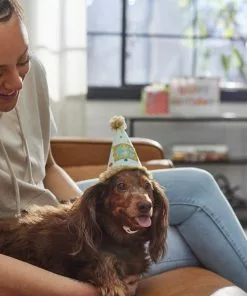 Frisco It's a Party Animal Dog & Cat Hat 11 Frisco It's a Party Animal Dog & Cat Hat -The Frisco Store 315139 PT8. SY630 V1646435317