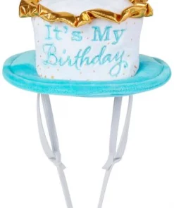 Frisco It's My Birthday Dog & Cat Hat