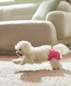 Frisco Washable Female Diaper, Flamingo, 3pk -The Frisco Store 315700 PT3. SY630 V1644883551