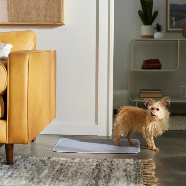 Frisco Washable Dog Potty Pads, 2pk, Unscented 6 Frisco Washable Dog Potty Pads, 2pk, Unscented - Image 4