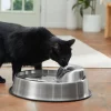 Frisco Stainless Steel Round Dog & Cat Fountain, 1 Gallon -The Frisco Store 316358 MAIN. SY630 V1637607391
