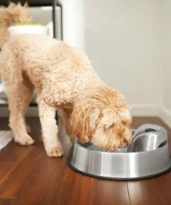 Frisco Stainless Steel Round Dog & Cat Fountain, 1 Gallon -The Frisco Store 316358 PT6. SY630 V1637610402