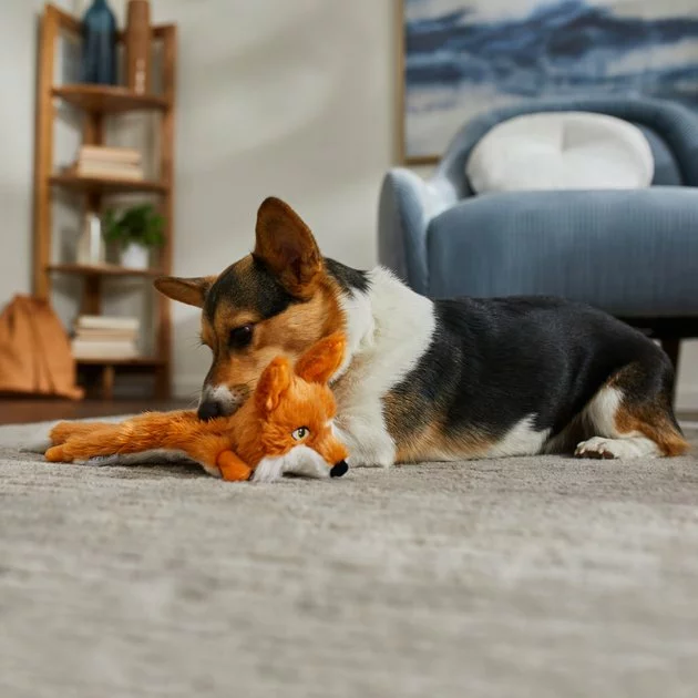 Frisco Fur Really Real Fox Plush Squeaky Dog Toy 5 Frisco Fur Really Real Fox Plush Squeaky Dog Toy - Image 3