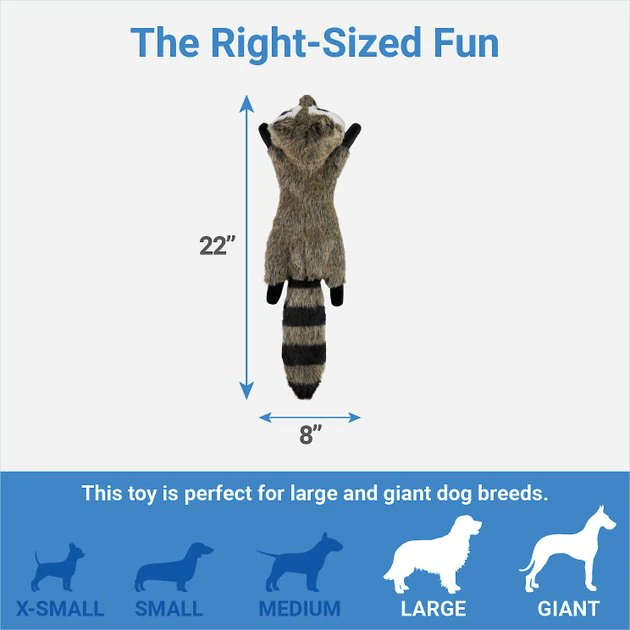 Frisco Fur Really Real Raccoon Plush Squeaky Dog Toy 4 Frisco Fur Really Real Raccoon Plush Squeaky Dog Toy - Image 2